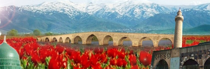 MusSayfasi's profile banner image