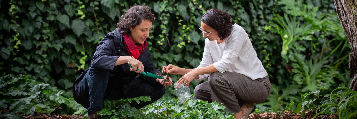 Soilsafe Aotearoa banner