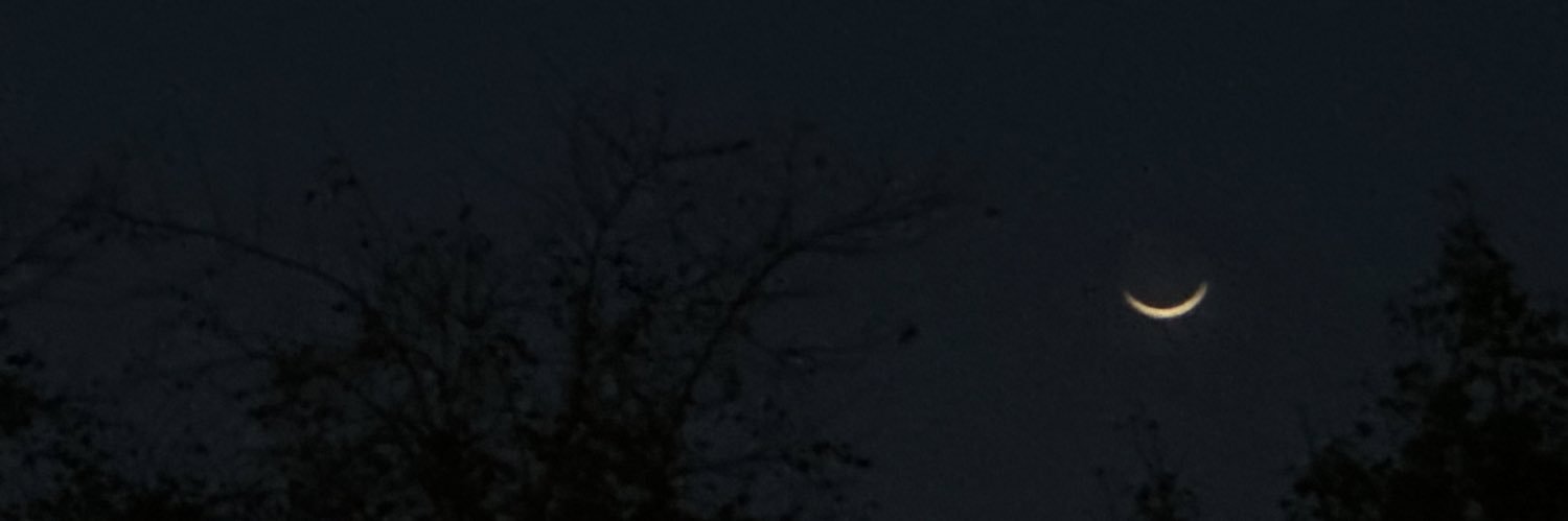 qurrainfayaz's profile banner image