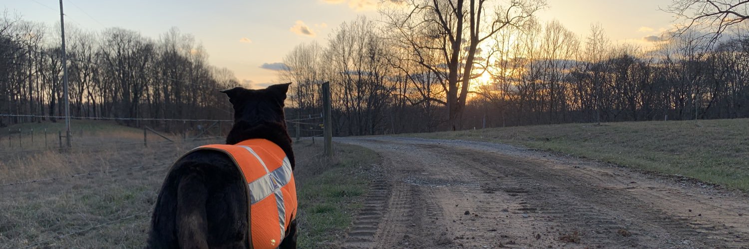 AReallyGoodOne's profile banner image