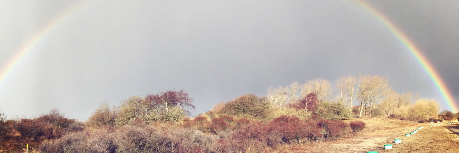 mirjamvp's profile banner image