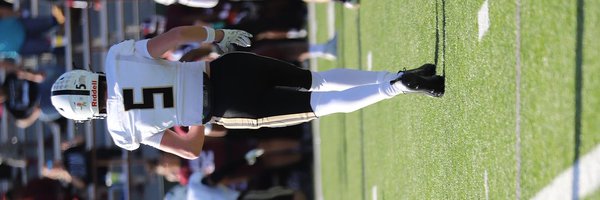 MclemoreMax Profile Banner