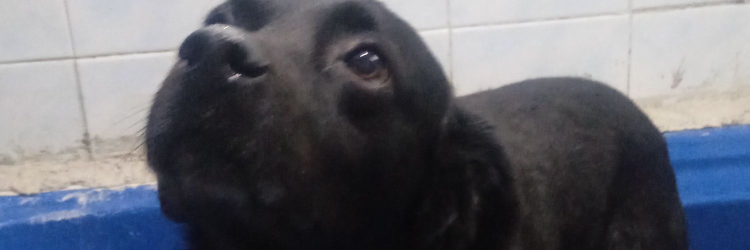 ismelol1's profile banner image