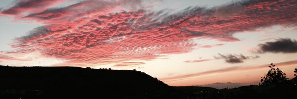 nestordd Profile Banner