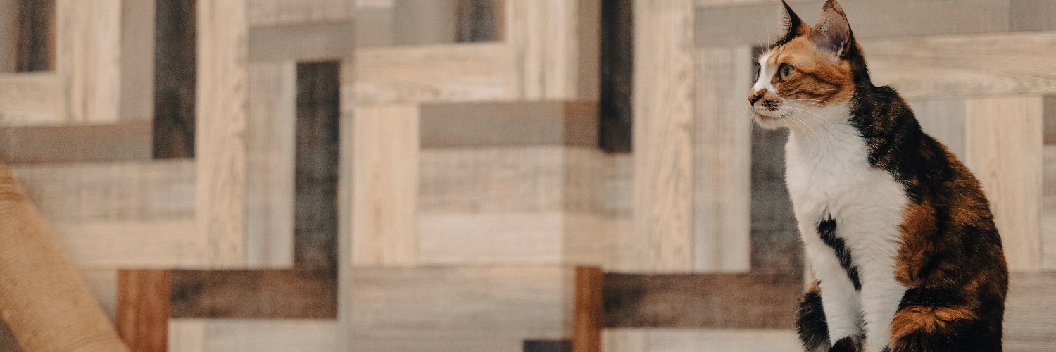 K (Ver.7.3.0) banner