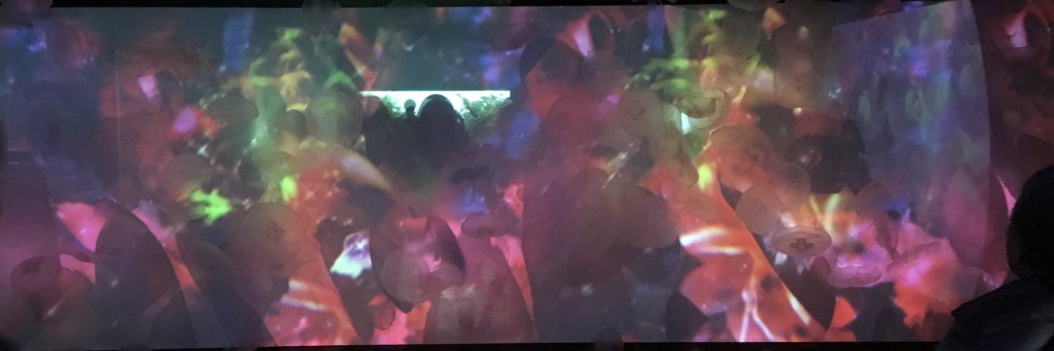 135Amim's profile banner image