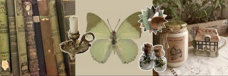 ❤︎₊ ⊹ arwen banner