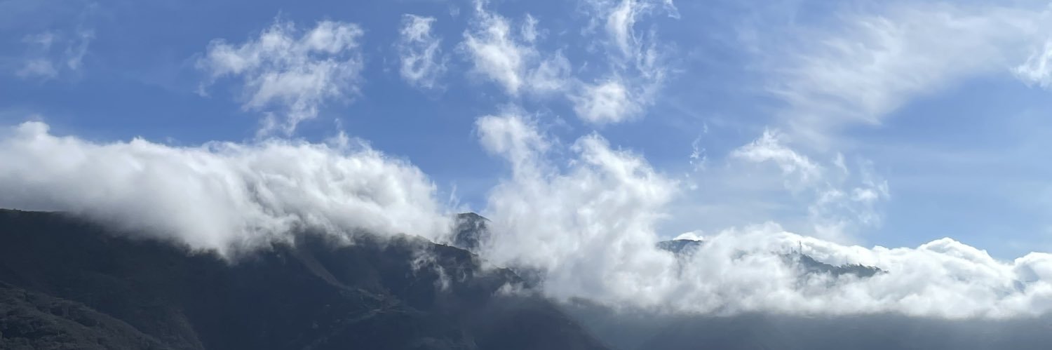 chinichinita banner