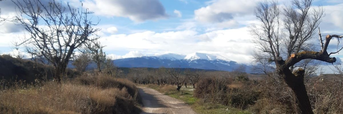 Pabloarnedo's profile banner image