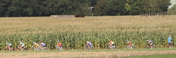 mmecezar Profile Banner