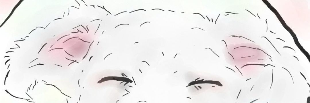 jayjjang00's profile banner image