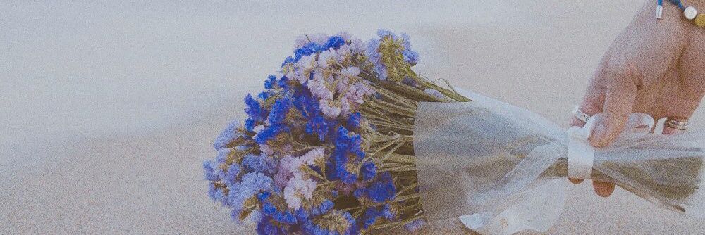 pinnn_14's profile banner image