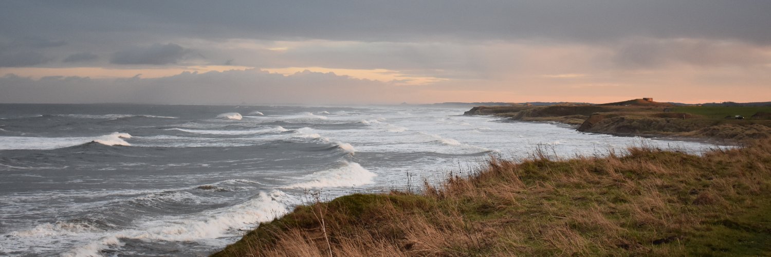 Dr Kay Burrows banner