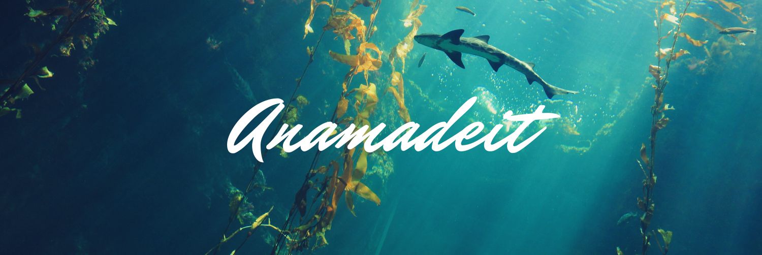 AnaMadeit's profile banner image
