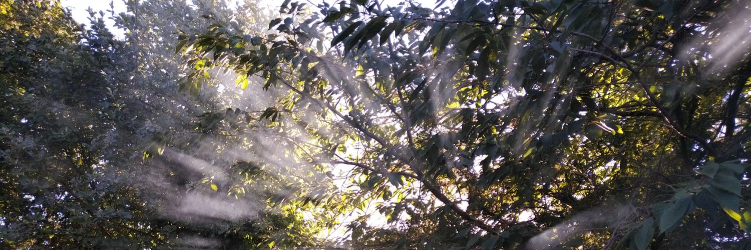 Jeremy Balcombe🎗 banner