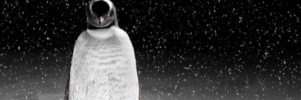 farquar Profile Banner