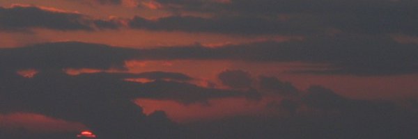 WaveOpe Profile Banner