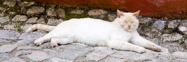 ArmellevH Profile Banner