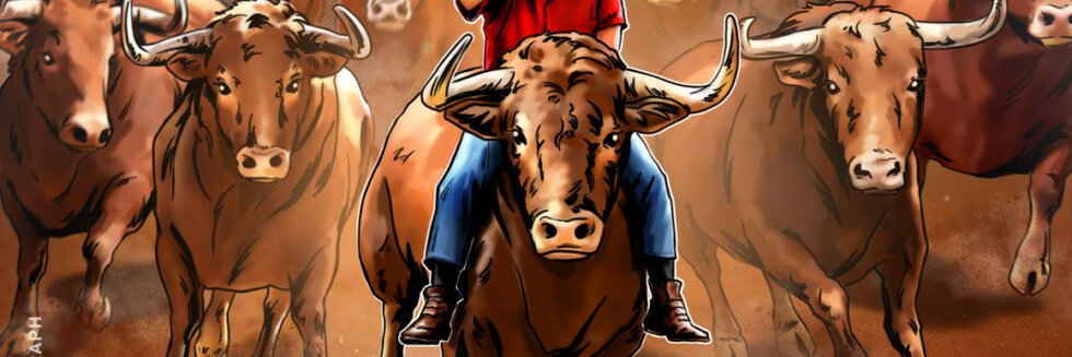 BullTkid's profile banner image