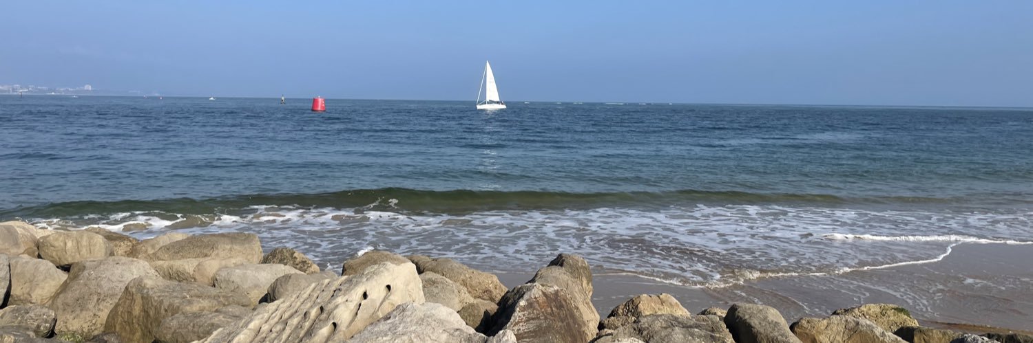 Sian Phillips banner