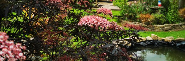 noshiteplease Profile Banner