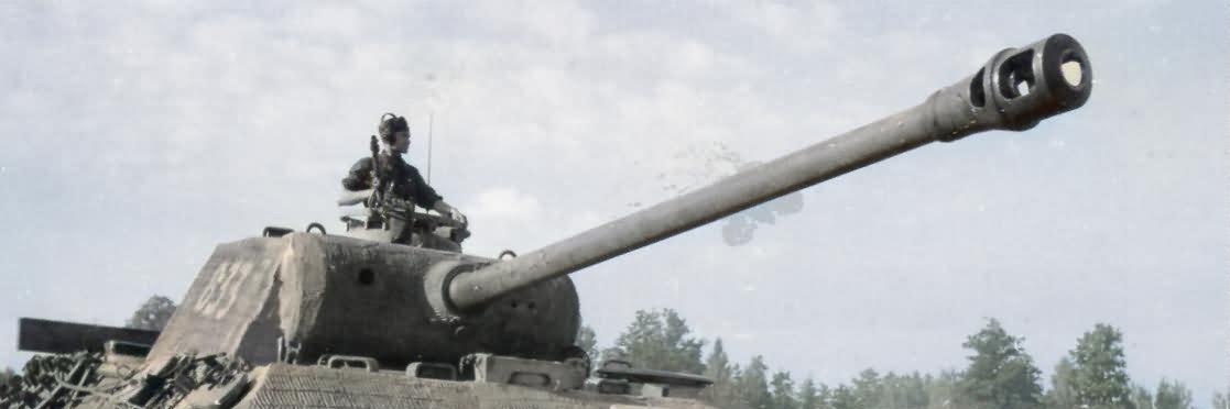 Rhell Norrattu banner