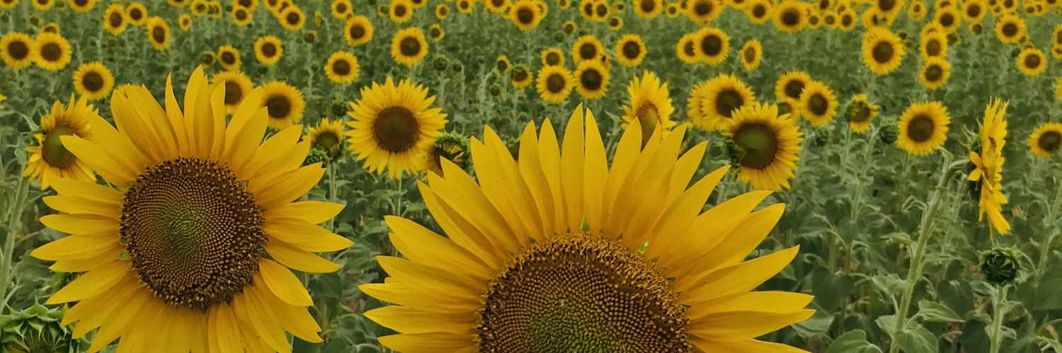 valeri🌻 banner