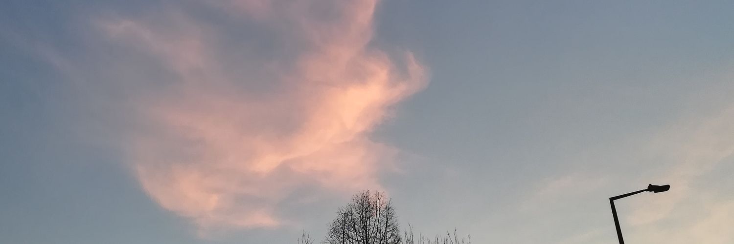 sdunicorn's profile banner image