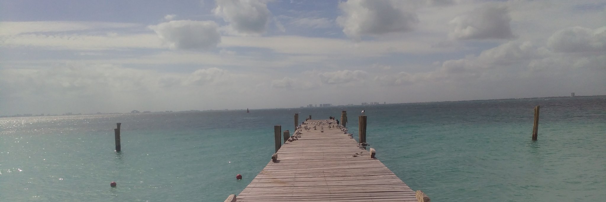 Rachel Zárate banner