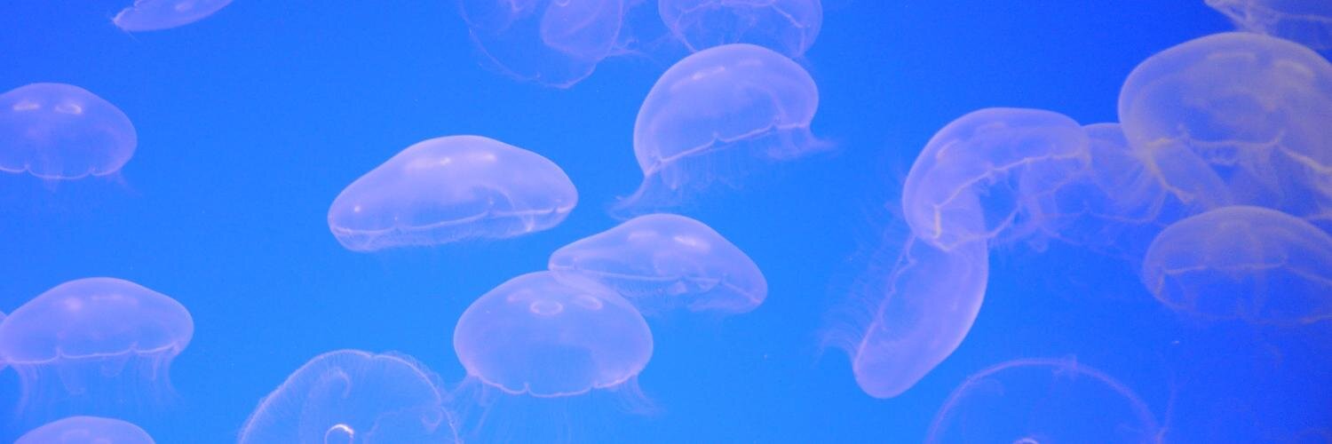 Nick Richards banner