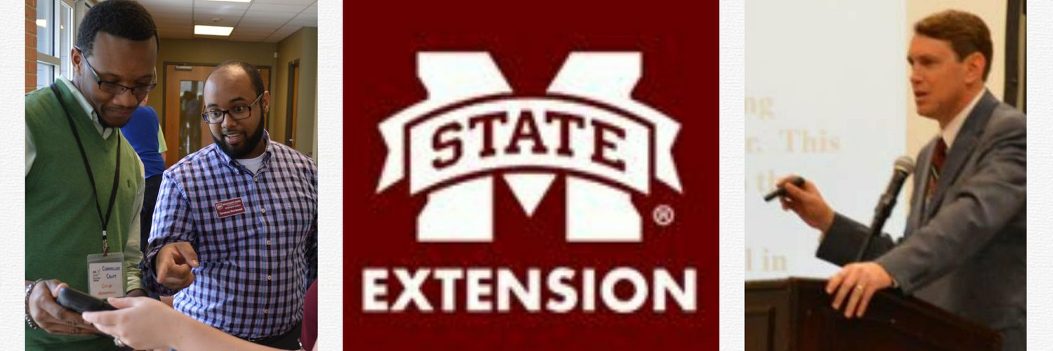 Center for Government & Community Development banner