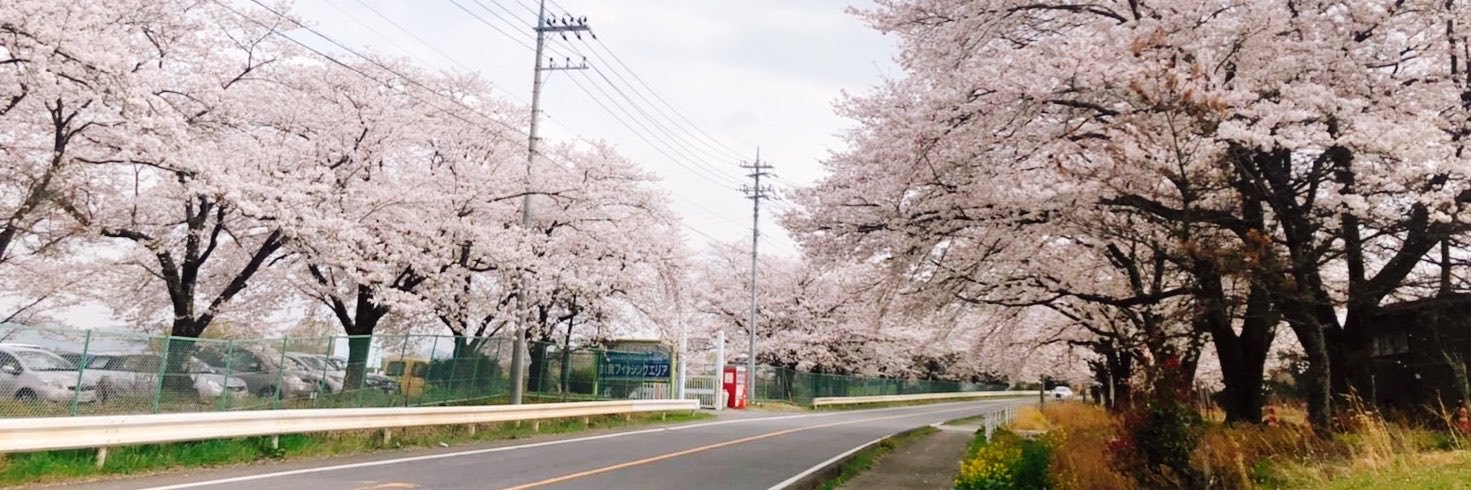 aswa_13's profile banner image