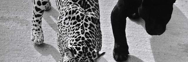 isa_gracee's profile banner image