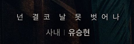 쵸춍🐦‍⬛ banner