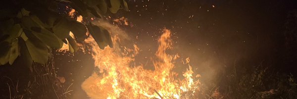 biantaihs Profile Banner