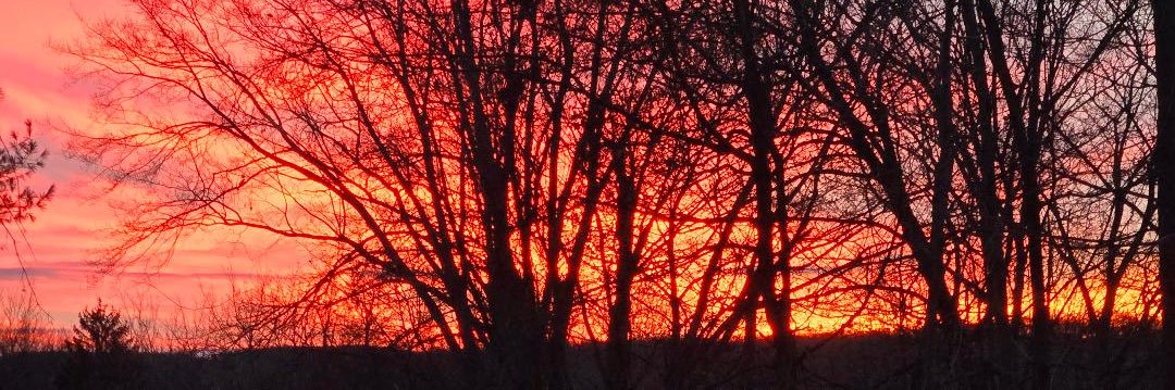 🪻🇺🇸Vicki🇺🇸🪻 banner