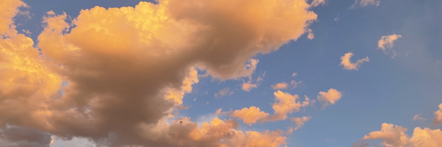 MsDimples1023's profile banner image