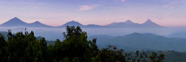 GW_DRC Profile Banner