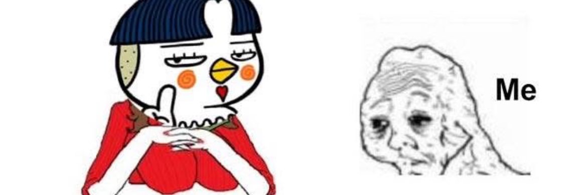 burrito boi's banner