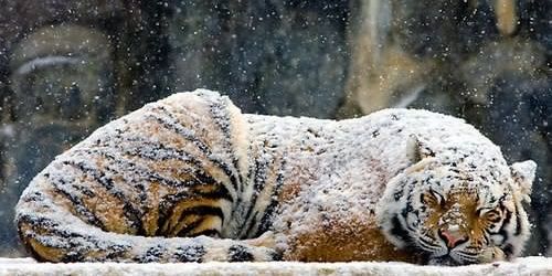 naningptr's profile banner image