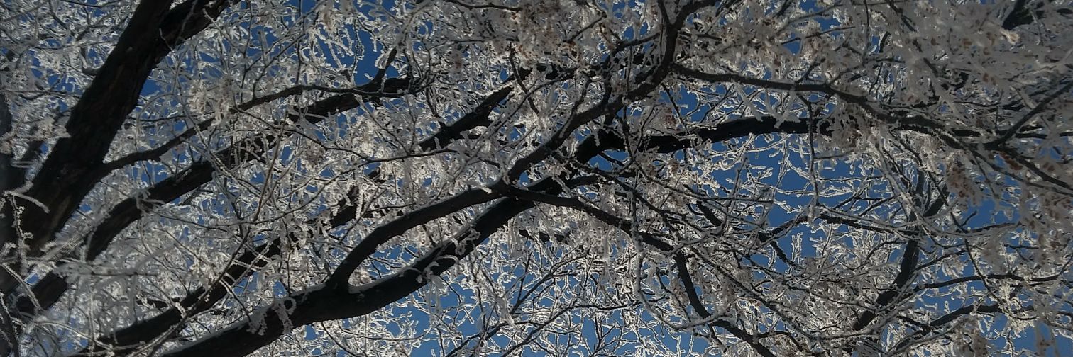 BenPetersen's profile banner image