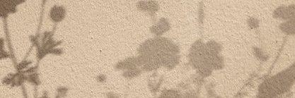 IIssIIII's profile banner image