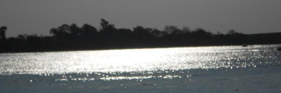 altamidiars's profile banner image