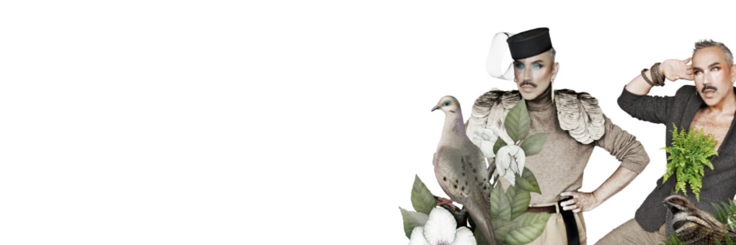 BirdsCanFly banner