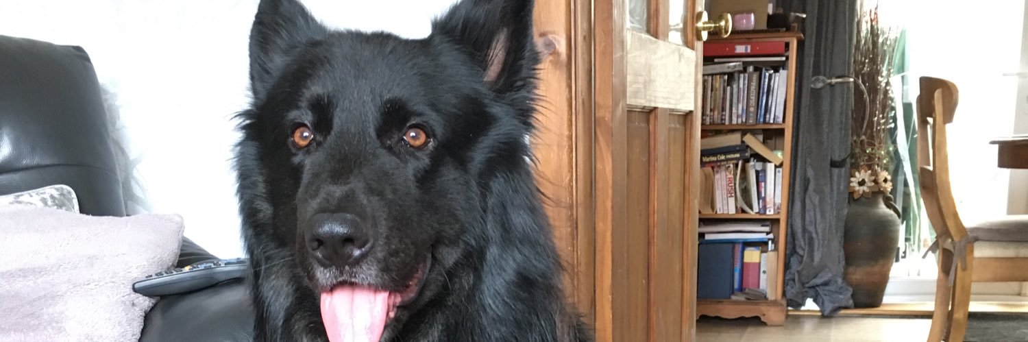 mark mccormack banner