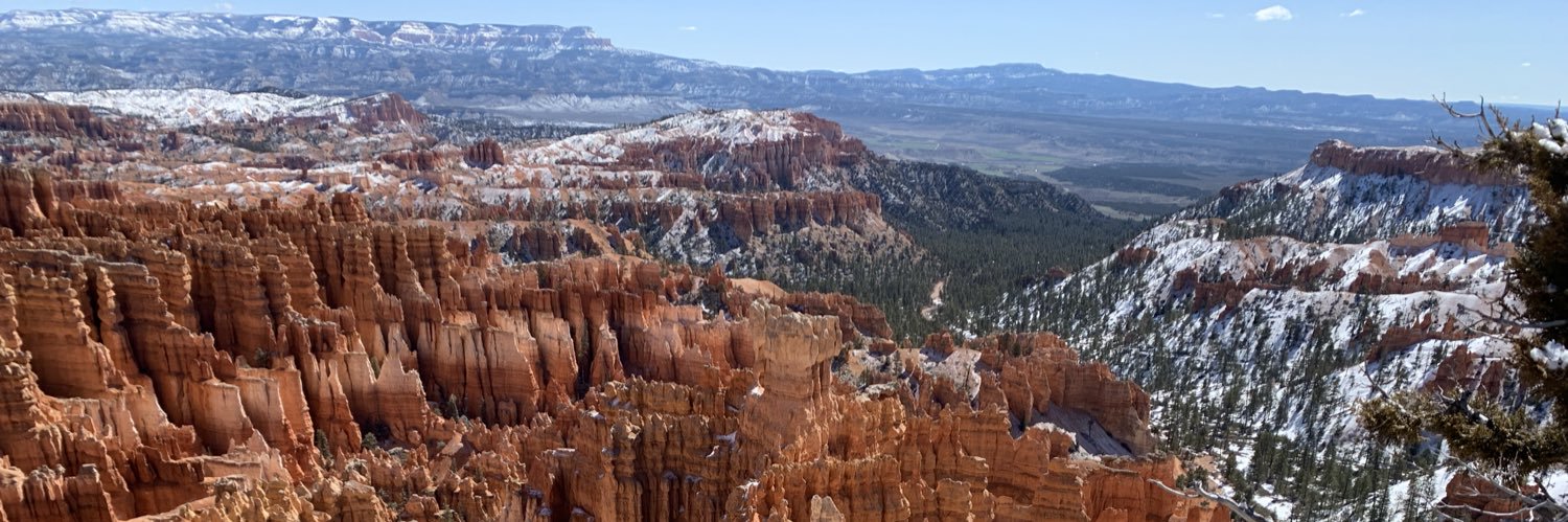 Matthew Kammerer banner