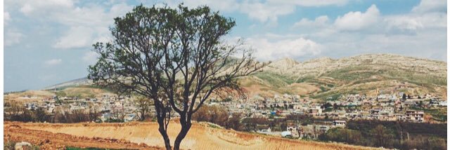 tabbbsj's profile banner image