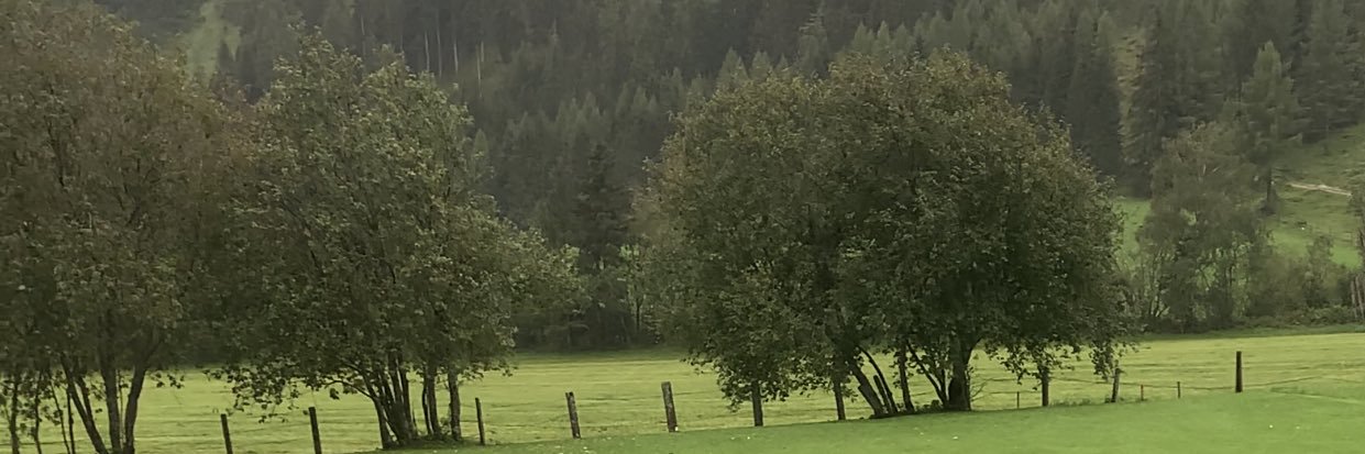 mvwl3's profile banner image