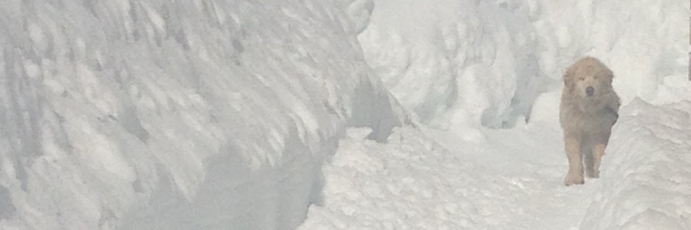 mitmit321's profile banner image