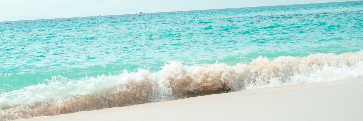 Willy_Ozem's profile banner image